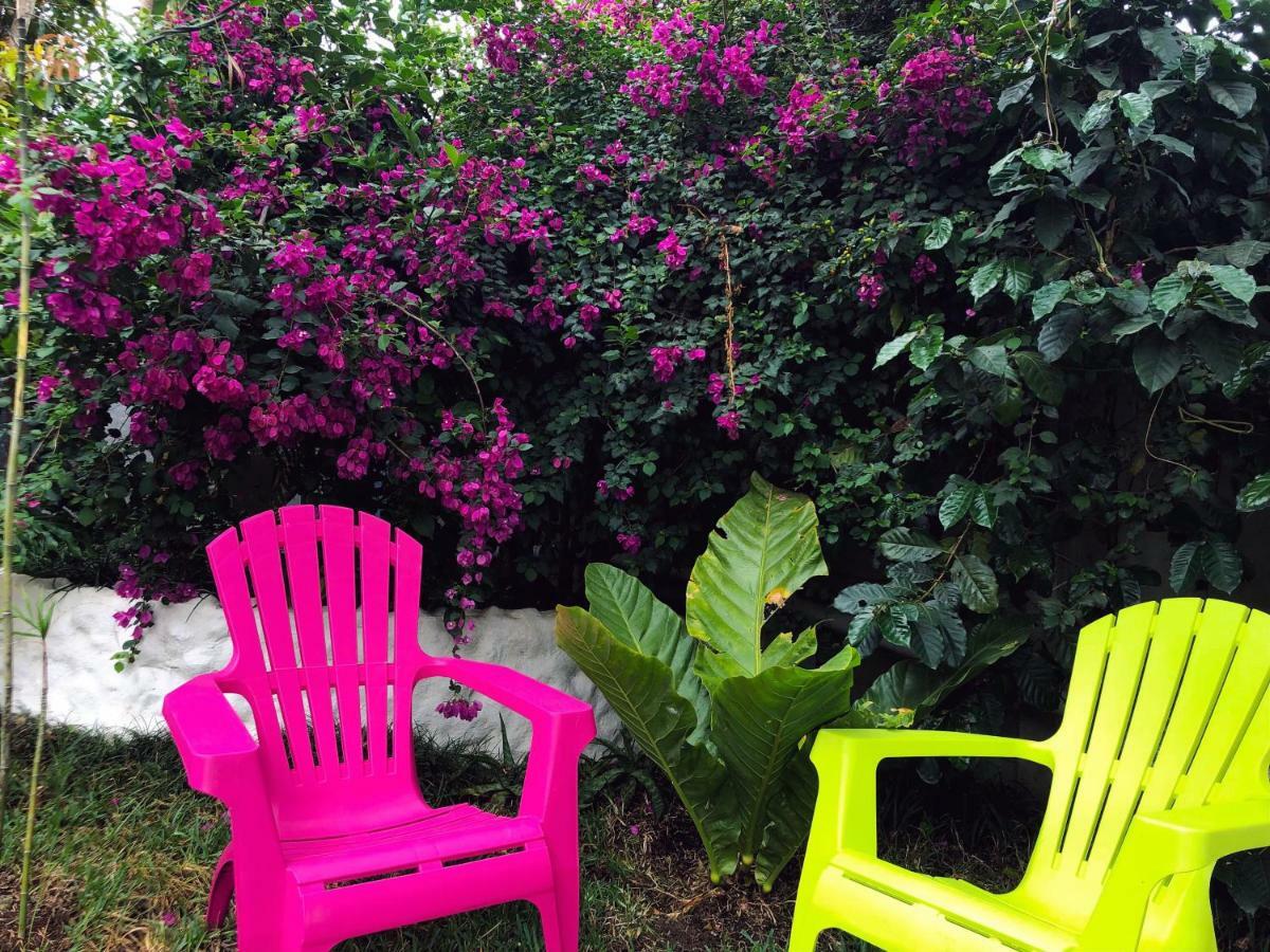 Monte Fresco Hostel Boutique Puntarenas Exterior photo